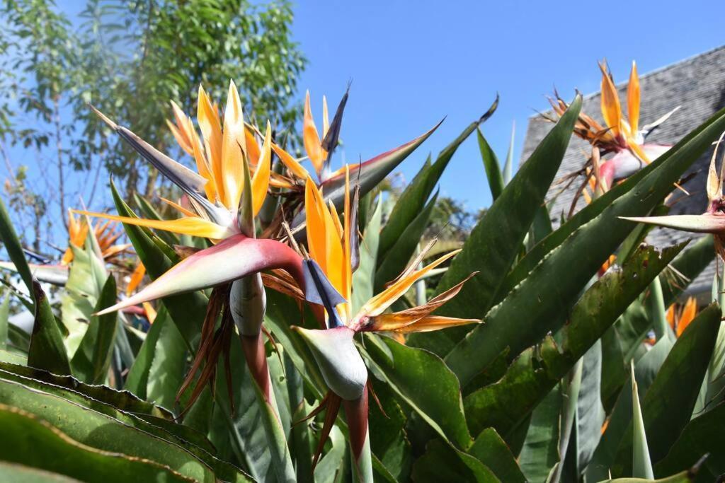 실라오스 Le Strelitzia 1 아파트 외부 사진